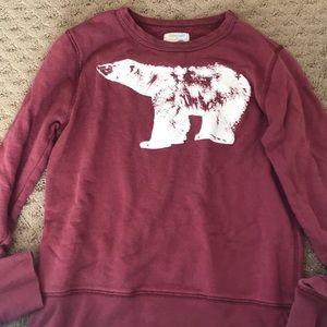 Crewcuts Bear Sweatshirt